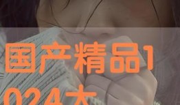 国产在线1024,揭秘国内热门视频平台的魅力与挑战