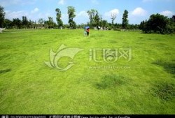 青青青草国产免费