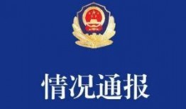 69国产在线,揭秘国产影视产业的崛起与魅力