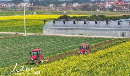 1024国产区,探索国产科技的魅力与未来