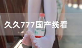 久久性国产,传承与创新之路